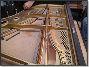 Friend in Piano Shop